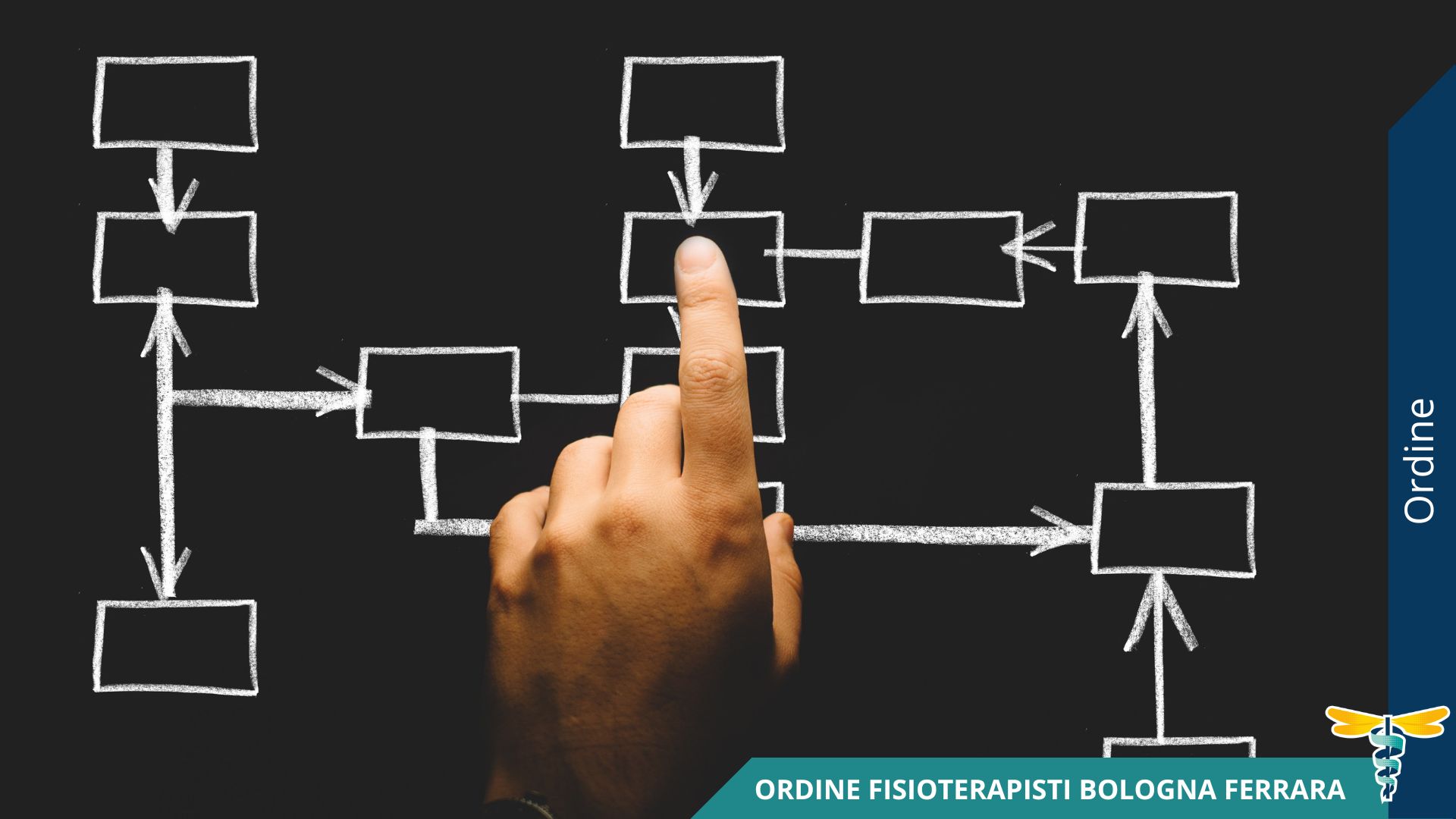 organi istituzionali e struttura ordine