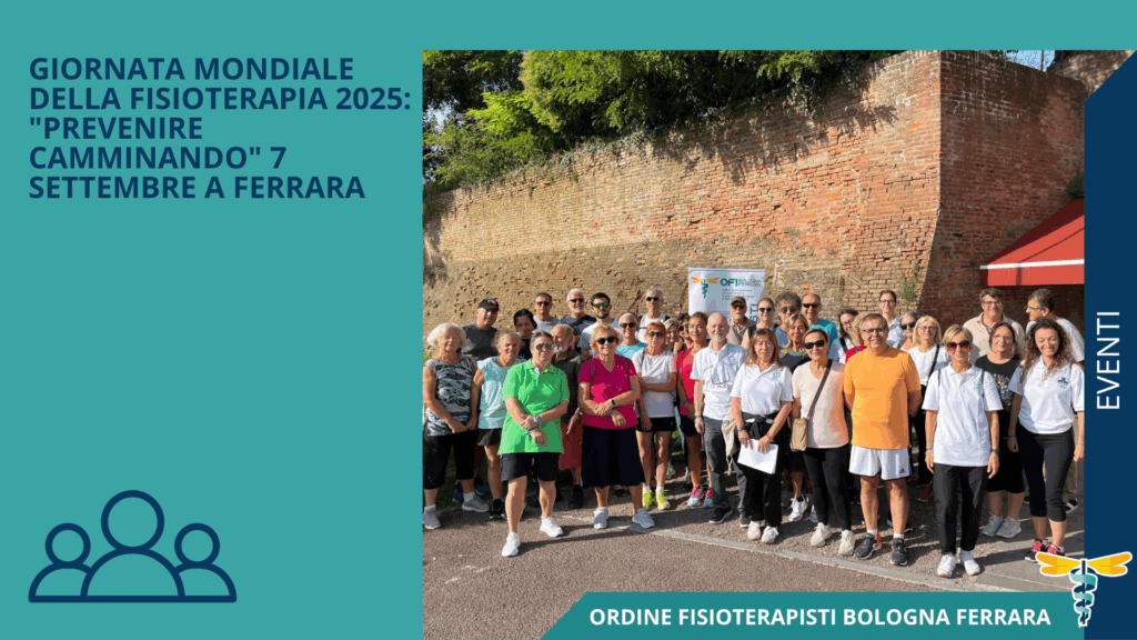 ofi bofe 169 (3)